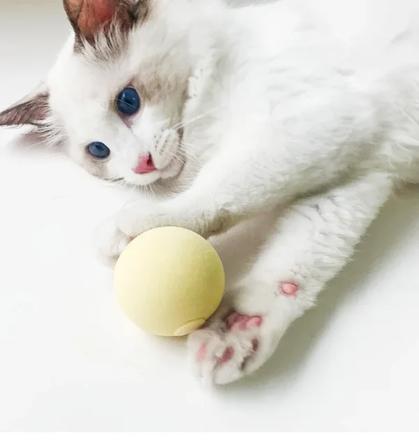 Interactive Ball Smart Cat Toys Plush Electric Catnip Training Toy Kitten Touch Sounding Pet Product Squeak Toy Ball - Image 2