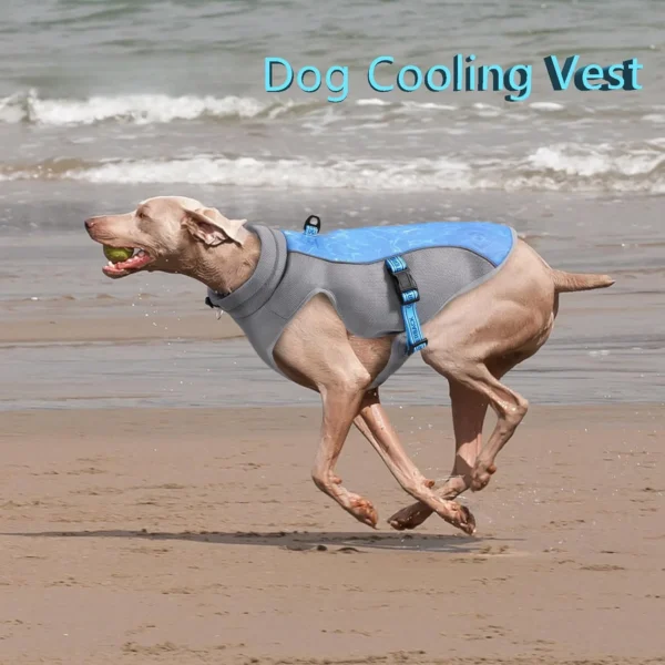 Dog Cooling Vest Lightweight Cooling Jacket Anti-UV Shirt Suitable for Beach Breathable Cooling Harnes Outdoor Summer Dog Clothe - Image 2